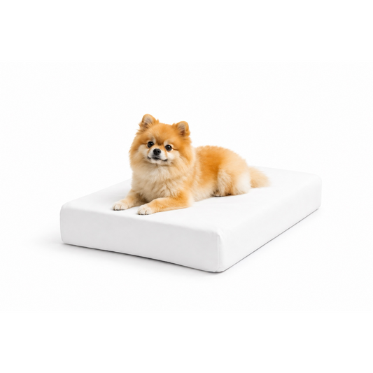 Orthopedic Waterproof Pet Bed